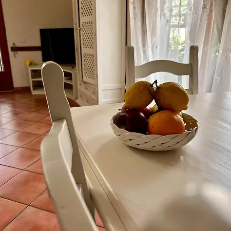 Maison Coppola *